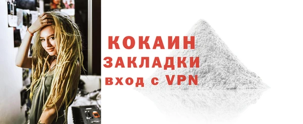 шишки Белоозёрский