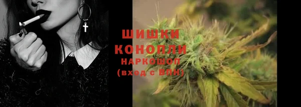 шишки Белоозёрский