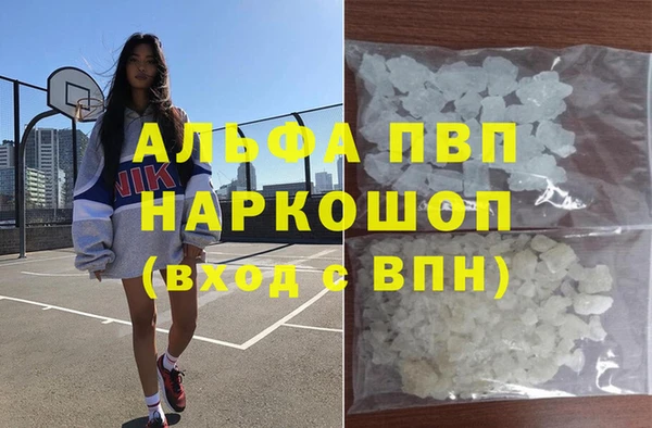 индика Белокуриха