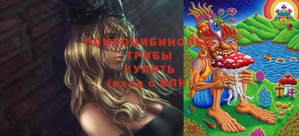 тгк Беломорск