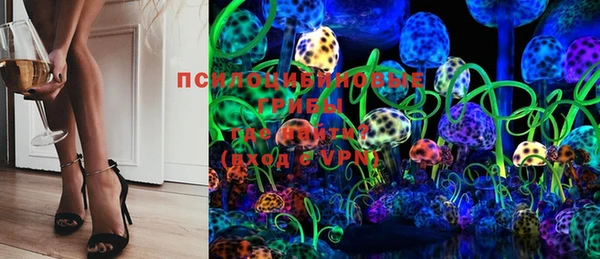 шишки Белоозёрский