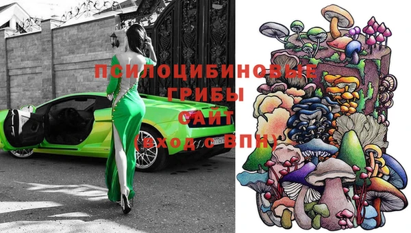 тгк Беломорск