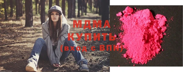 шишки Белоозёрский