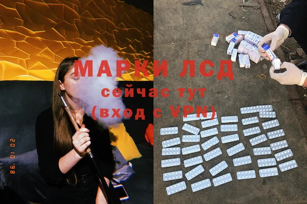 индика Белокуриха