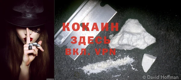 шишки Белоозёрский