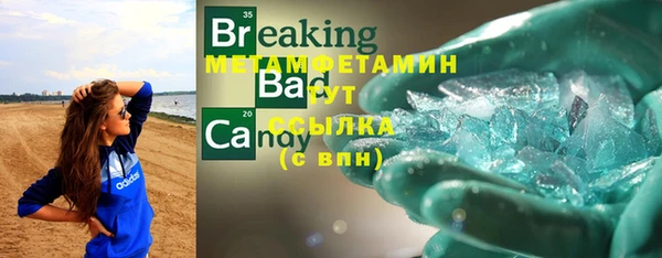 индика Белокуриха