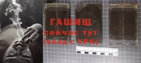 индика Белокуриха
